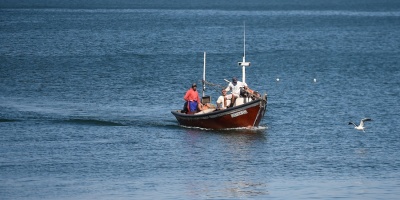 Marea roja: se impone veda sobre moluscos bivalvos de Maldonado y Rocha