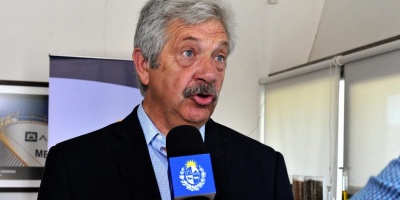 ALUR compra el 30% de la producci�n nacional de canola, estimada en 80.000 a 100.000 toneladas