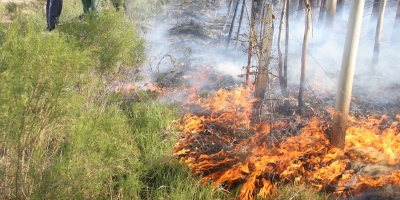 Piden extremar precauciones por quemas en campos