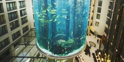 Gran acuario en hotel de Berl�n revienta liberando un mill�n de litros de agua