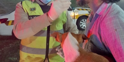 Mas de un centenar de controles de espirometr�a 