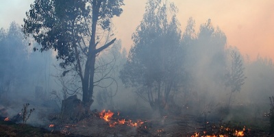 Bomberos contin�an combatiendo el incendio forestal en Algorta