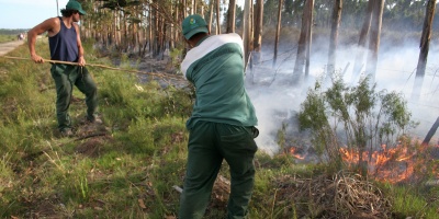 En Canelones nueve de cada diez incendios son de responsabilidad humana  