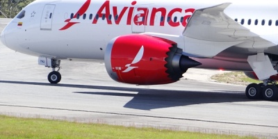 Hallaron los cuerpos de dos polizones en el tren de aterrizaje de un avi�n colombiano