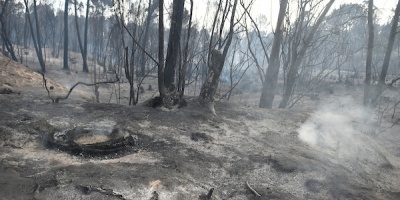 Contin�an las tareas de control del incendio en Salinas