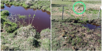 MOVUS denunci� que Vivero de UPM volvi� a contaminar una fuente de agua