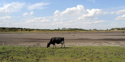 El Ejecutivo anuncia medidas para atender el impacto de la sequia