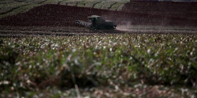 Gremiales agropecuarias valoraron positivamente medidas anunciadas por el BROU y UTE