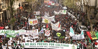 El Gobierno de Argentina pone en funcionamiento la Agencia Nacional de Cannabis