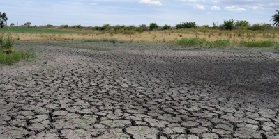 Diputado Echeverría coincide con productores sobre acelerar mecanismos ante sequía