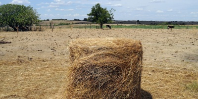 Ur�a lamenta que quieran politizar situaci�n generada por la sequ�a  