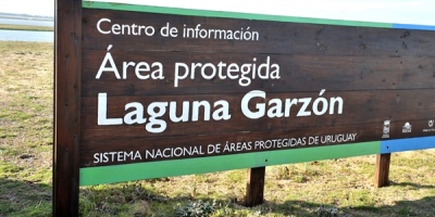Influenza aviar se circunscribe s�lo a la laguna Garz�n