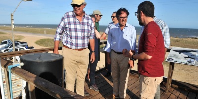 Bouvier: Casos de gripe aviar afecta solo a aves silvestres