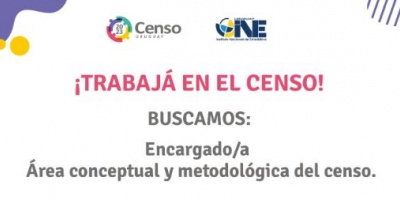 INE llama a encargado de �rea conceptual y metodolog�a