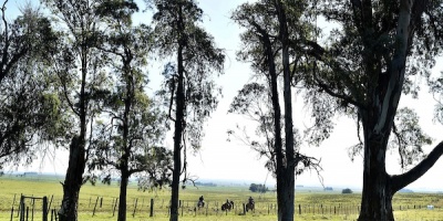 Lavalleja impulsa destinos y actividades tur�sticas