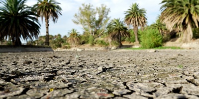Llovieron 97 mil�metros en Lavalleja, donde la situaci�n por la falta de agua es m�s cr�tica  