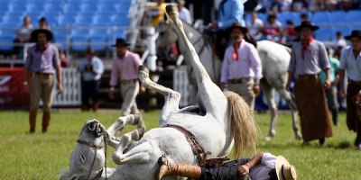 Piden suspender jineteadas tras muerte de un caballo en el ruedo de la Criolla del Prado