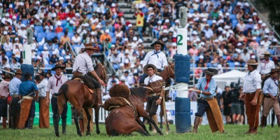 Pablo Barletta: �Montevideo no es el �nico departamento que realiza jineteadas, si es el que las hace con m�s cuidado� 