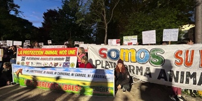 Plataforma Animalista contin�a reclamando sobre maltrato animal