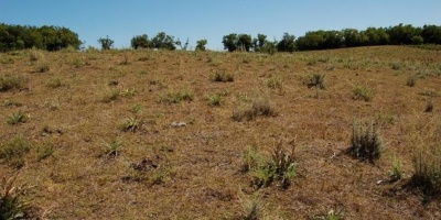 Pueden surgir posibles problemas en la cadena de pagos como consecuencia de la sequia