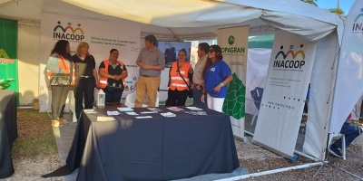 Sesenta cooperativistas trabajan en Paysand�