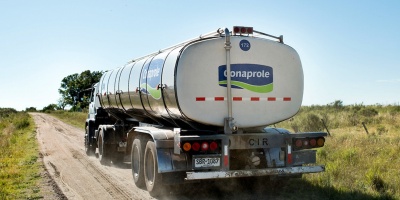 Conaprole denunci� que podr�a llegarse a tirar leche de mantenerse las medidas gremiales que enlentecen la recepci�n del producto en las plantas 