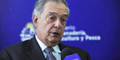 El 2 de mayo comienza la vacunaci�n obligatoria contra influenza aviar