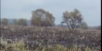 El incendio de campo en San Jos� sigue controlado