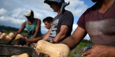 Se est� conmemora el D�a del Trabajador Rural.