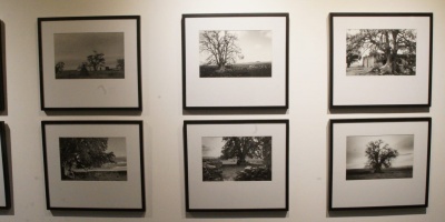 El Sodre inaugur la muestra CAMPO. Fotografas de nuestro paisaje rural