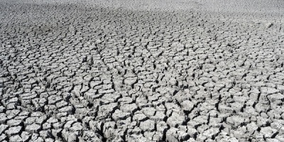 Las sequías reducen cada vez más la absorción de CO2 en los trópicos