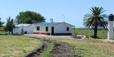 Instituto de Colonizaci�n adquiri� 55.000 hect�reas en el �ltimo quinquenio