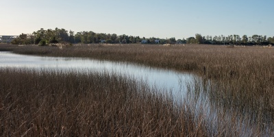 Las recientes lluvias aliviaron por dos semanas m�s, la situaci�n de las reservas de agua dulce en el embalse de San Severino
