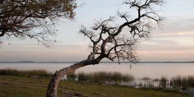 El r�o Uruguay se desbord� en la zona de Bella Uni�n y se espera que el nivel m�ximo se registre entre jueves y viernes.