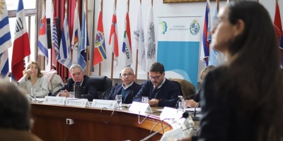 Proponen creaci�n de un Departamento Especializado en Tenencia Responsable y Bienestar Animal