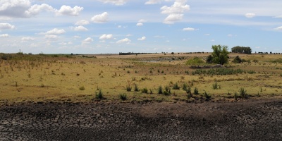 Estiman que el impacto de la crisis h�drica le costar� al pa�s 2.000 millones de d�lares.