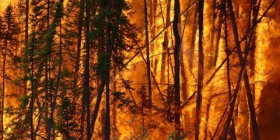 Los incendios en Canad�, que arde desde mayo, liberan 290 megatoneladas de CO2 a la atm�sfera, seg�n Copernicus