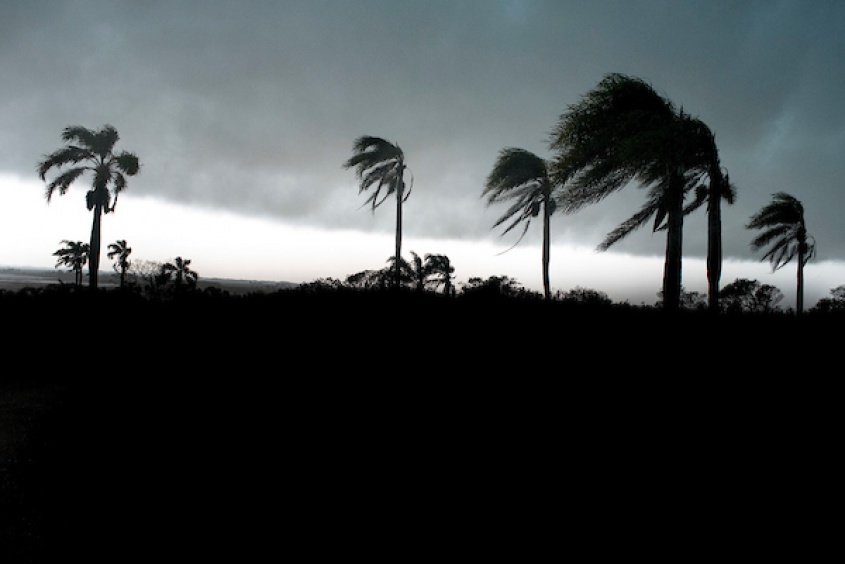 Foto: Ricardo Ant&uacute;nez / adhocFOTOS