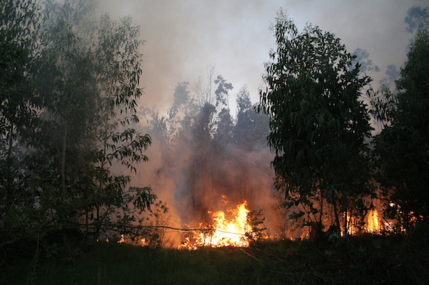 Foto: Ricardo Ant&uacute;nez / adhocFOTOS