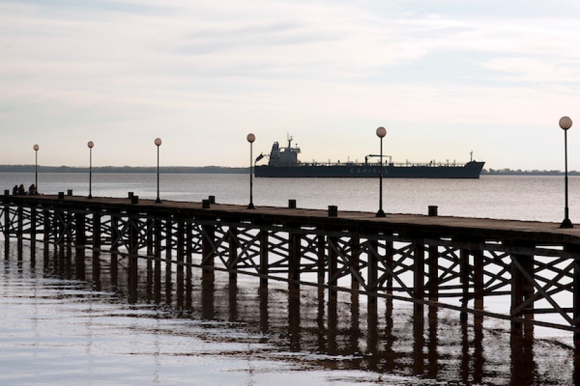 Foto: Ricardo Ant&uacute;nez / adhocFotos