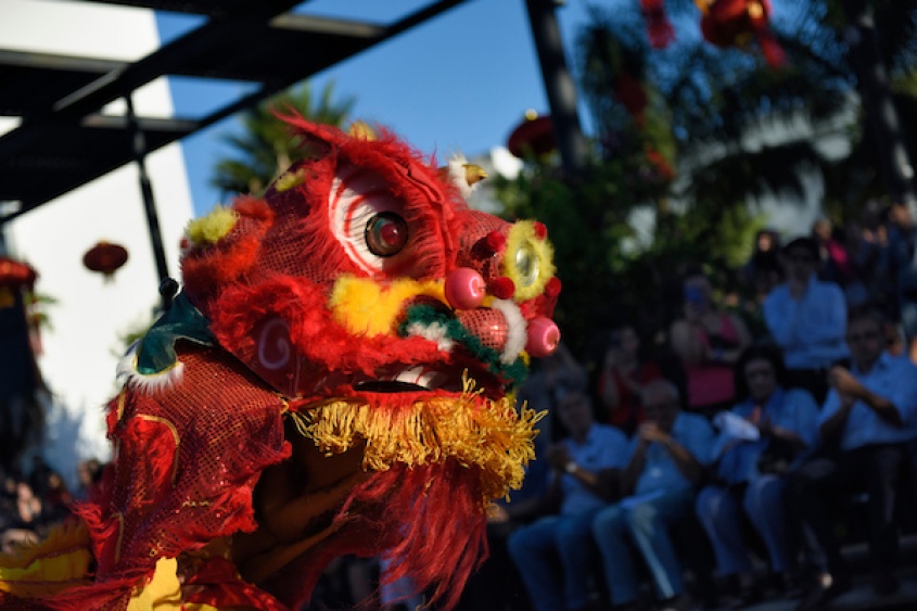 Foto: Nicol&aacute;s Celaya /adhocFOTOS