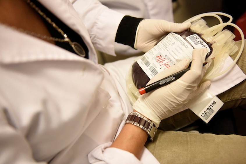 Foto: Nicol&aacute;s Celaya /adhocFOTOS