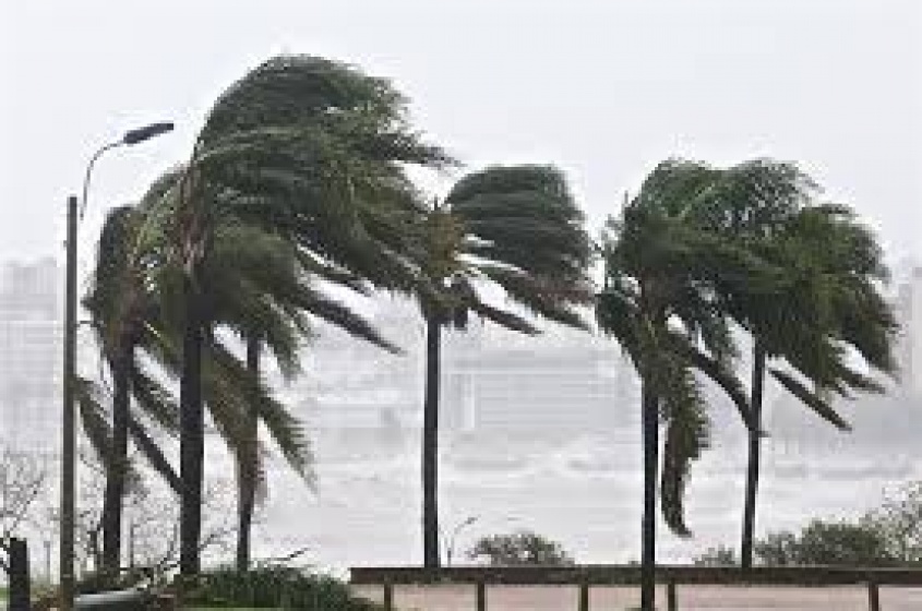 Fuerte viento que sopla