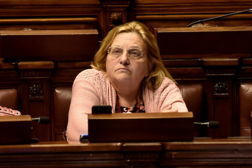 Foto: Ricardo Ant&uacute;nez / adhocFOTOS