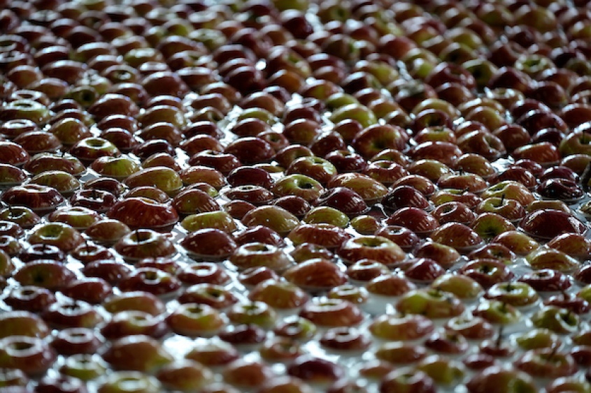 Foto: Javier Calvelo / adhocFOTOS