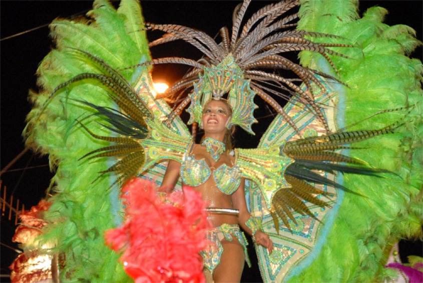 Noche de plumas y color