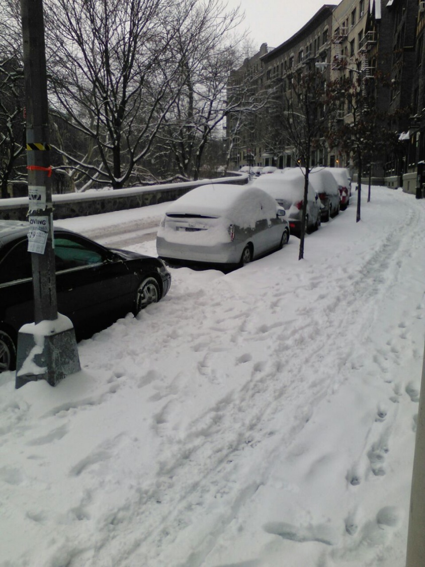 Pero blanco bien blanco