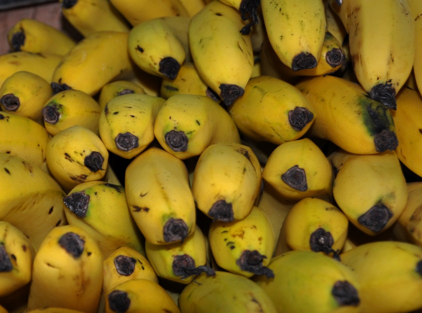 Alimentación en el debe