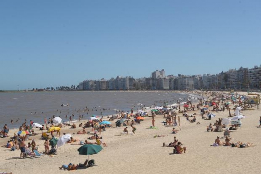 Programa verano