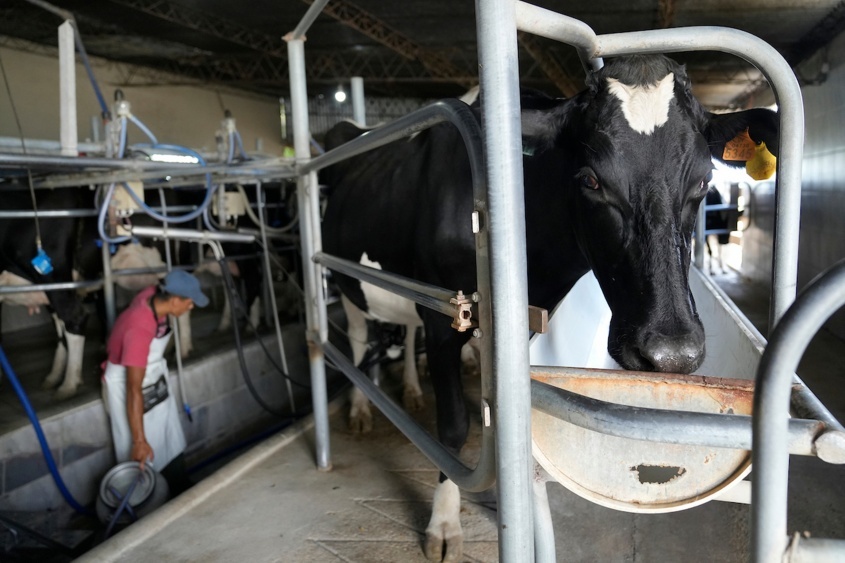 La Cámara de la Industria láctea apoya la compra de la estancia María Dolores